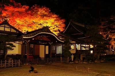 温泉寺周辺紅葉ライトアップ(おんせんじしゅうへんこうようらいとあっぷ)